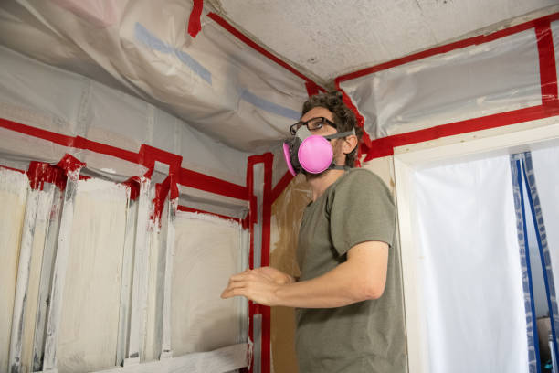 Best Comprehensive Air Testing for Mold Contaminants  in East Troy, WI